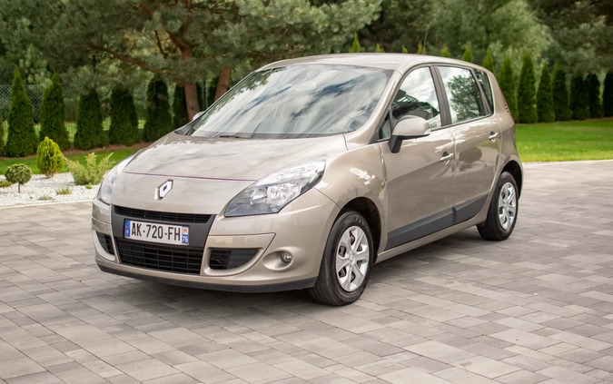 Renault Scenic cena 24950 przebieg: 243550, rok produkcji 2010 z Nisko małe 781